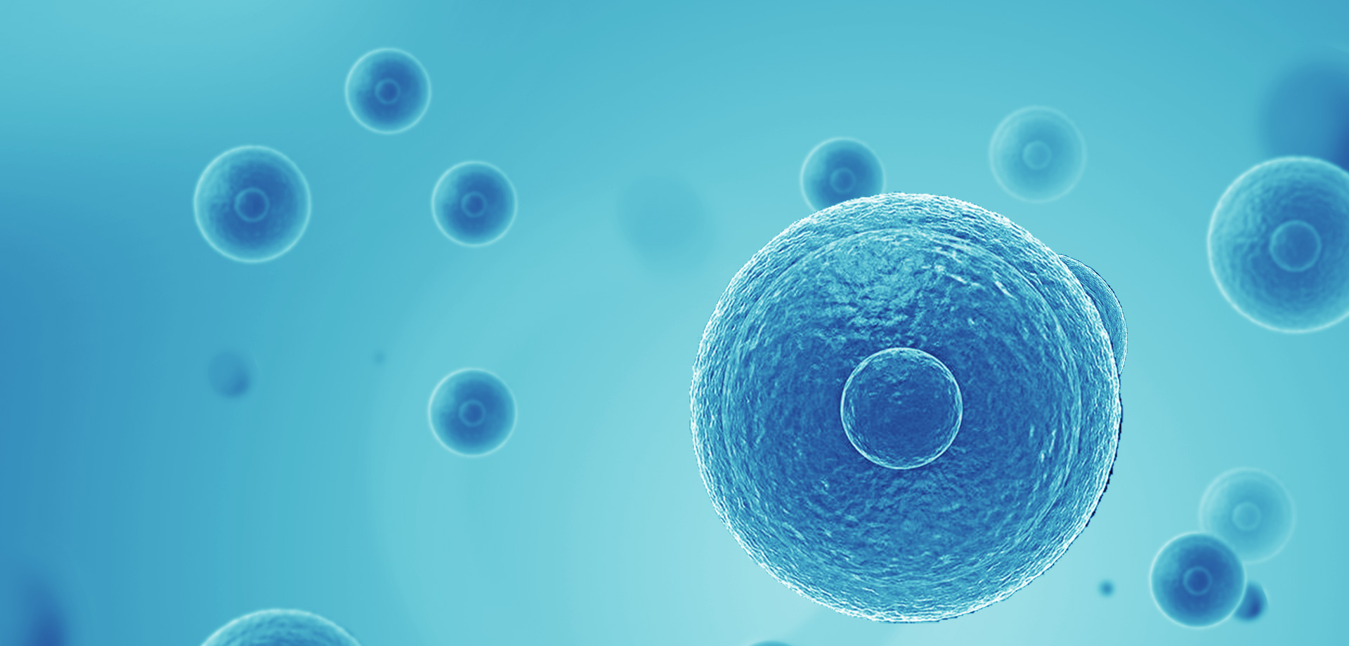 以患者需求為核心，驅(qū)動(dòng)細(xì)胞免疫治療創(chuàng)新，實(shí)現(xiàn)癌癥可控化并最終治愈。